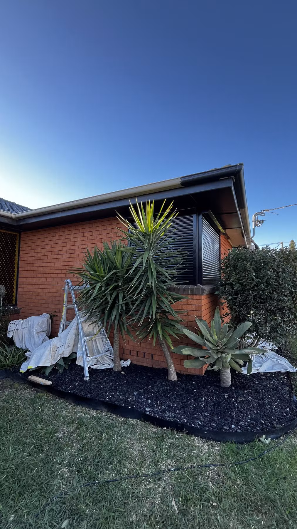 Drop sheets and access equipment protecting the garden during exterior preparation