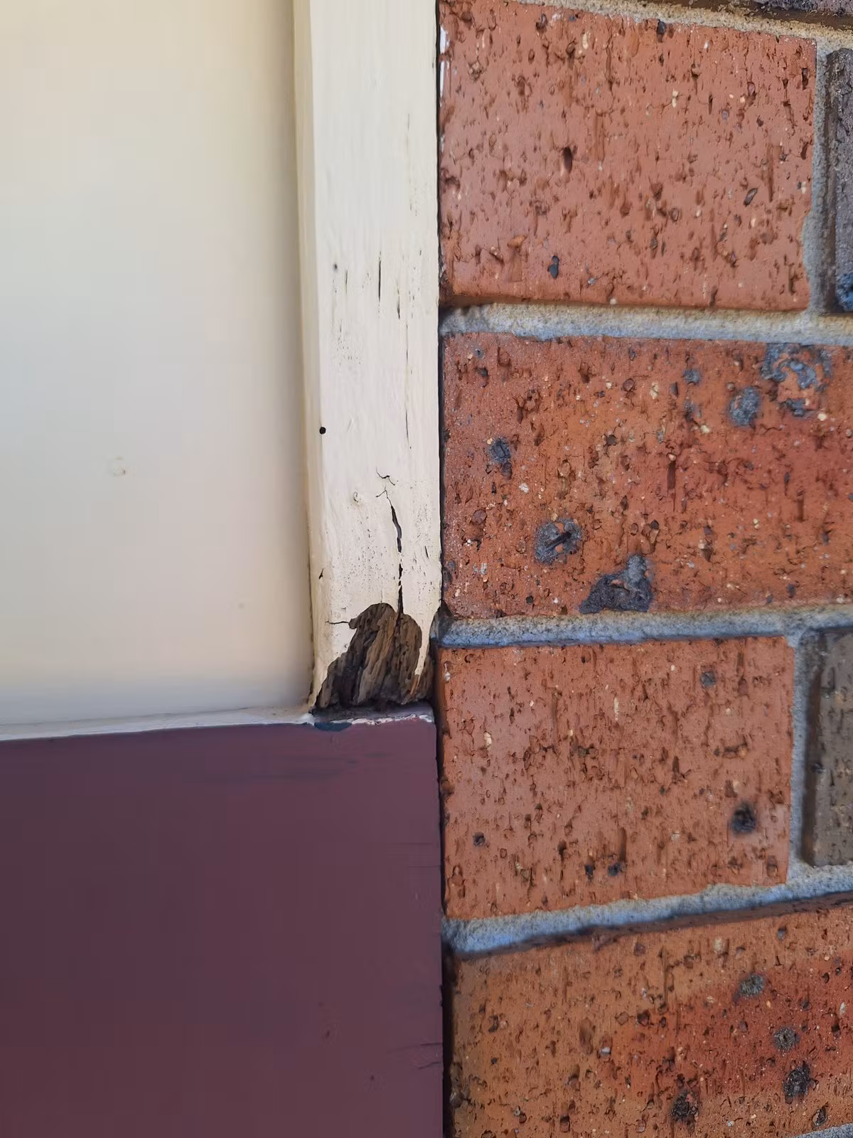 Rotten timber exposed at the bottom of the exterior trim