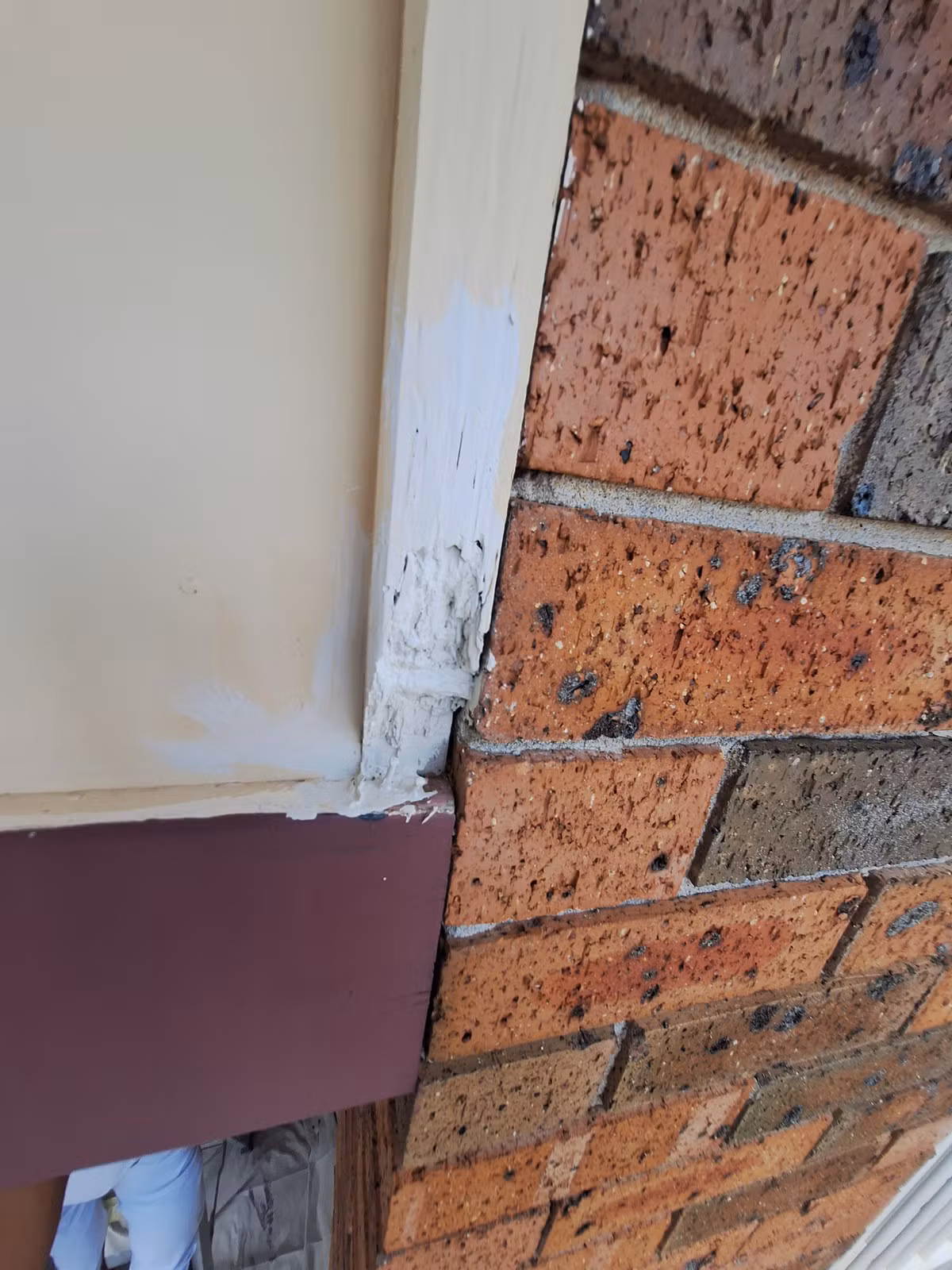 Damaged area after removing rotten material and applying sealer